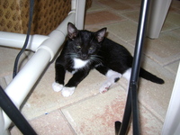 click to enlarge
