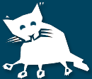 Cat Adoptions