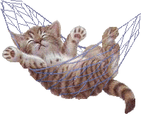 Cat List1
