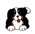 Dogwaggingtail