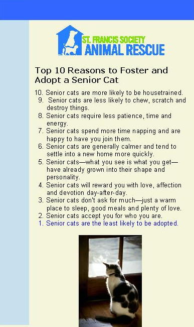 Whiskers4