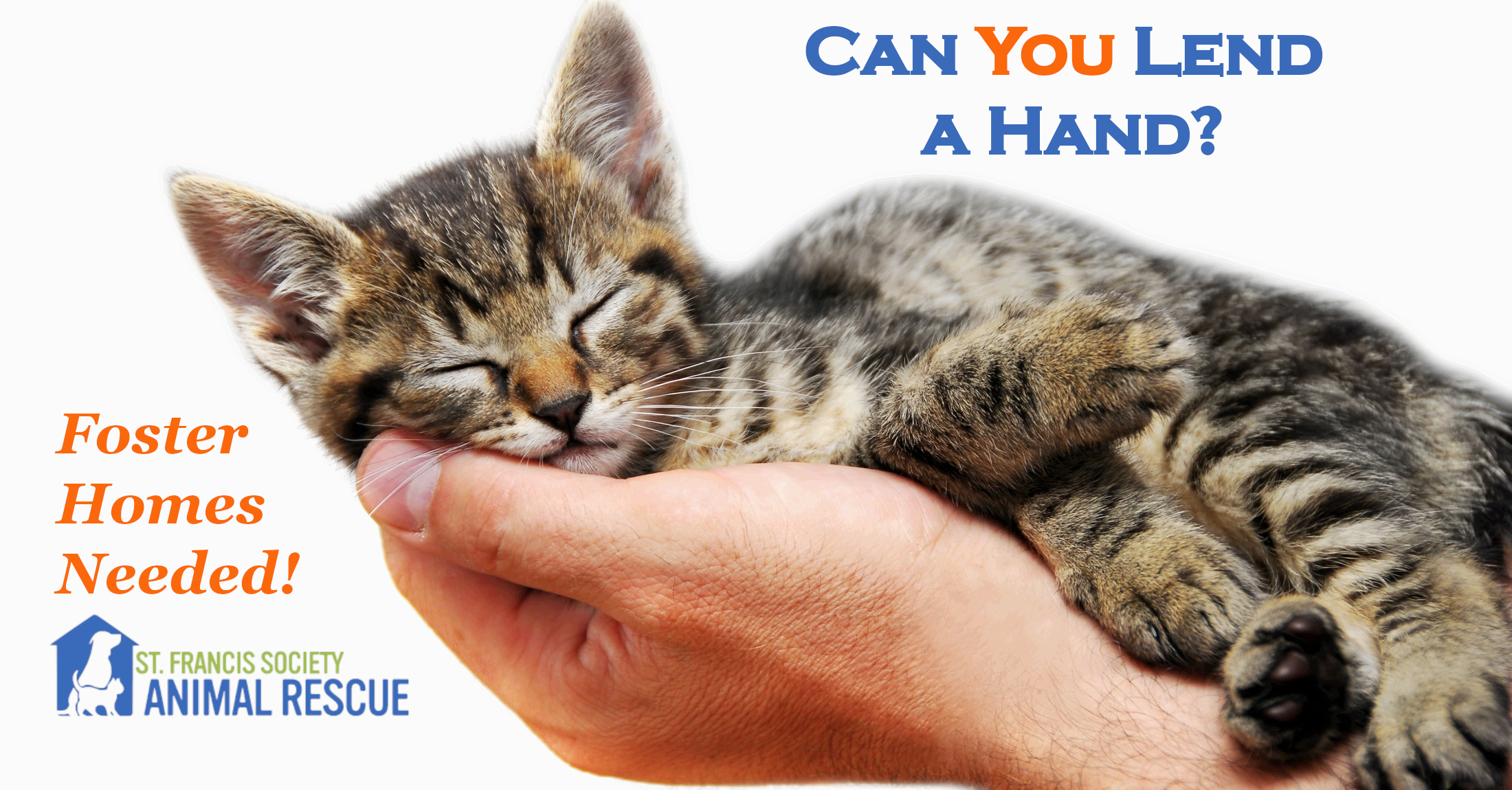 Foster Volunteers Needed