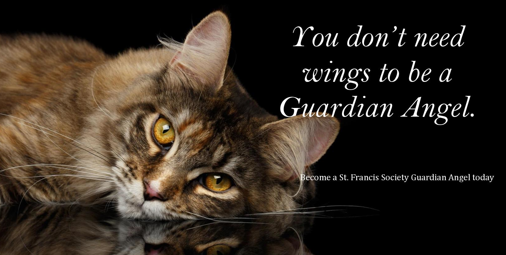 Guardian Angel